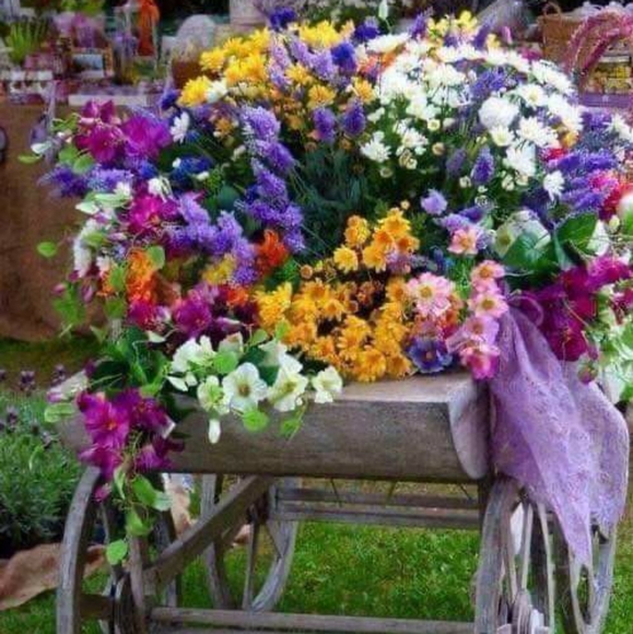 Hello I'm Meisch, 7.5 Yrs 5 Stars Trusted Ambassador - Picture 15 of 16